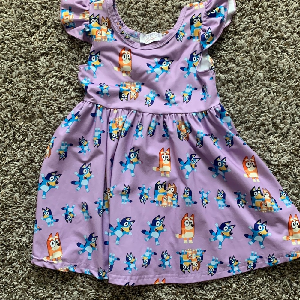 Bluey dress size 3t
